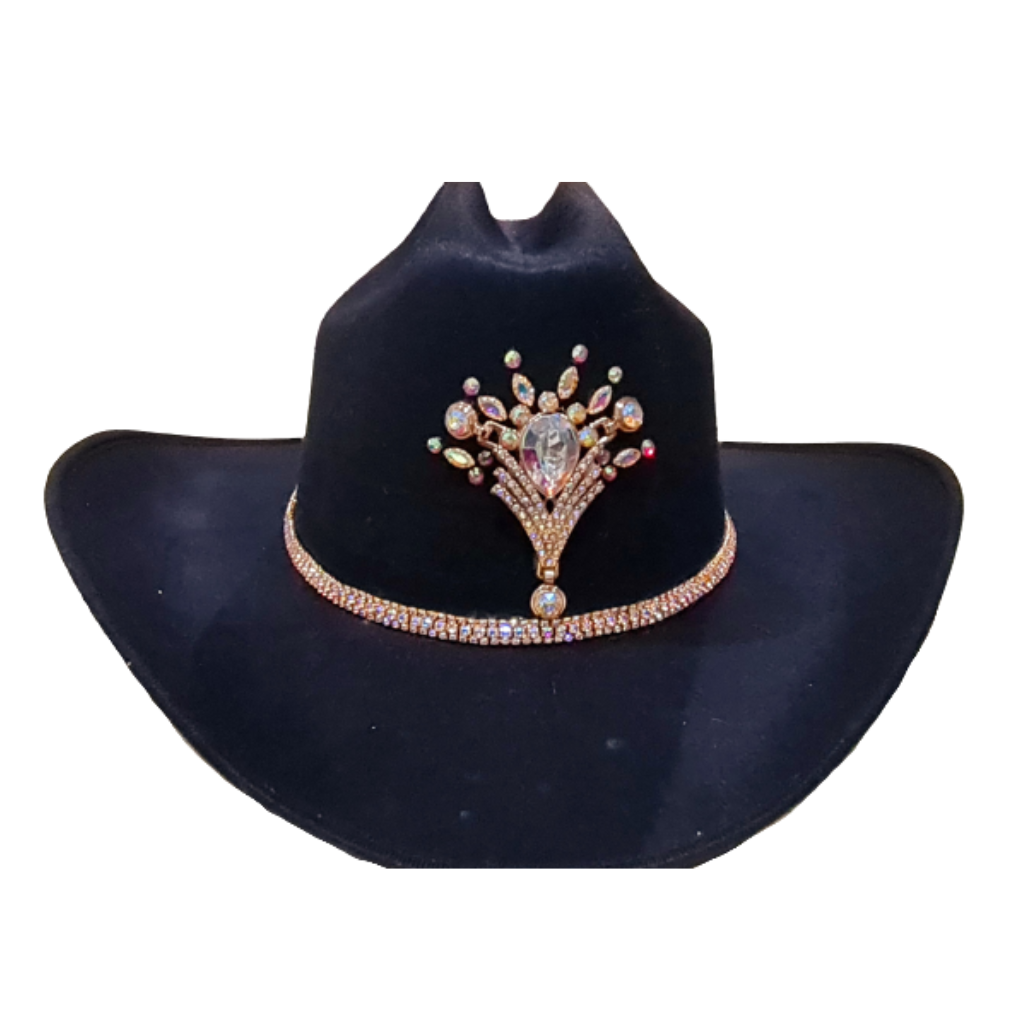 Suede cowboy hat with crystal appliqué